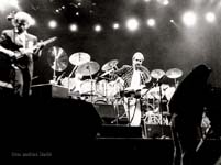 Genesis 01