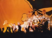 Running Wild